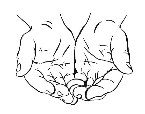 Palm image